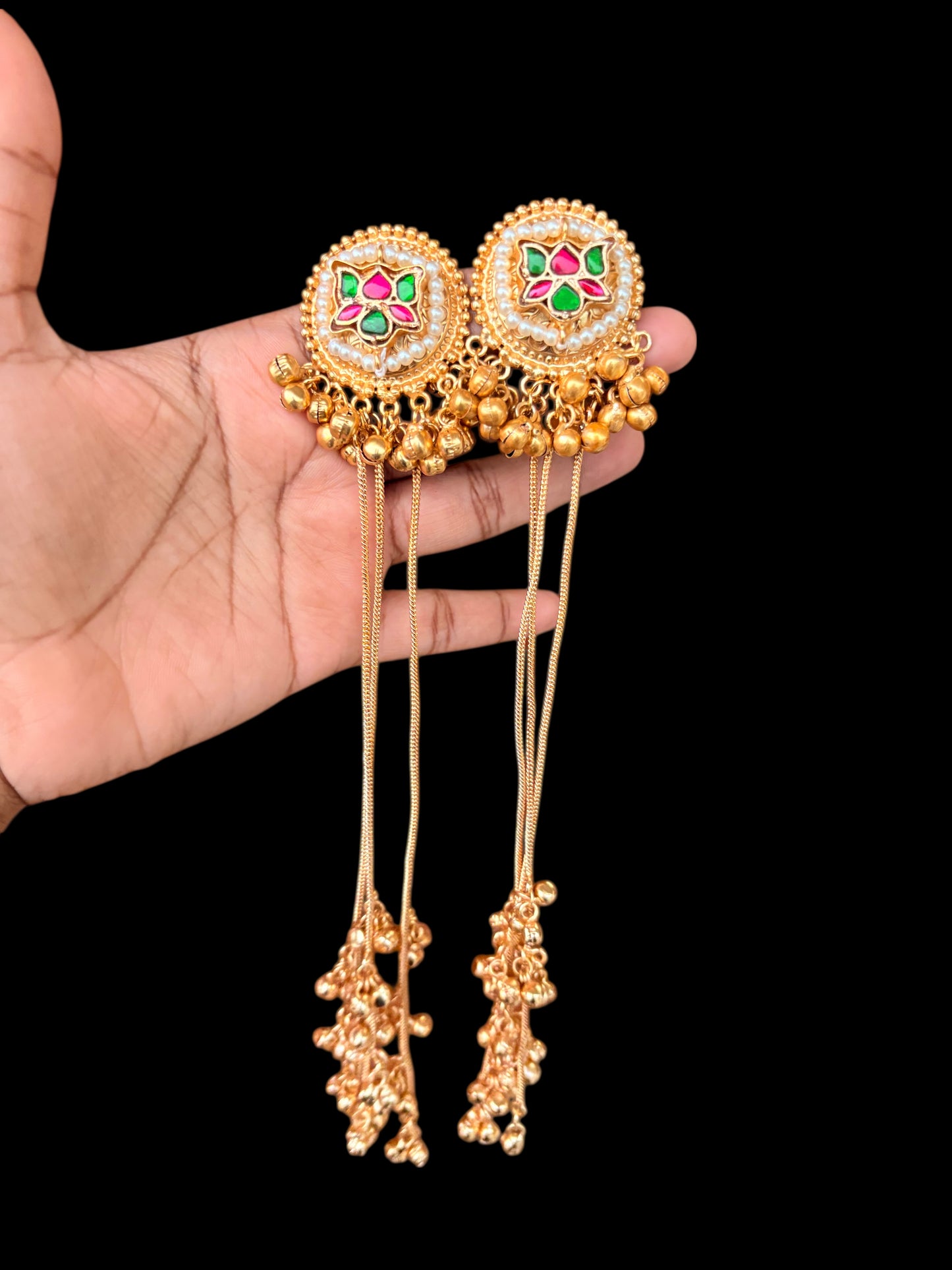 Charulata Nupur Dangler